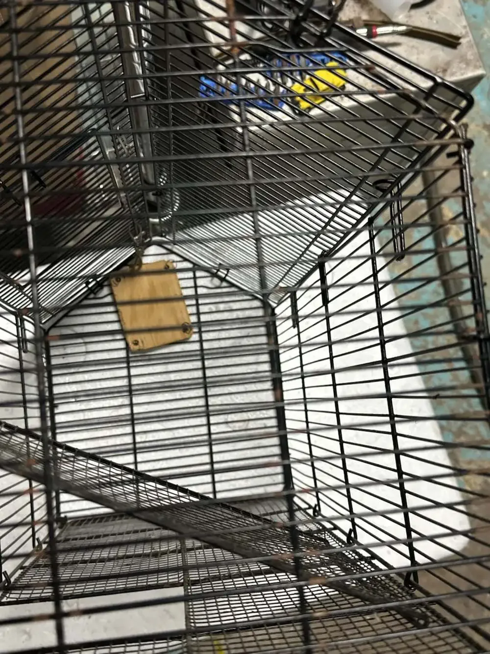 Small Animal Wire Cage with Hanging Platform 19x10x12